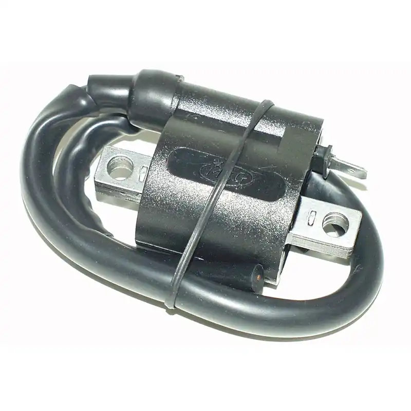 Preis Gesenkt ScooterLibre Zündspule mit Kabel 1 Steckanschluß 246010040