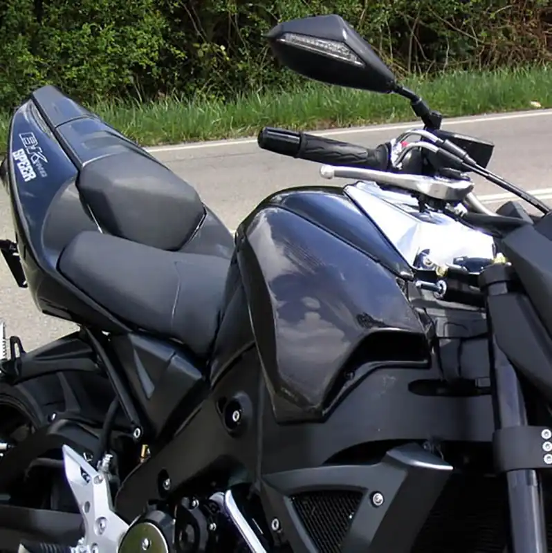 Jetzt Bestellen Bodis Tankverkleidung Carbon links und rechts SBK-004