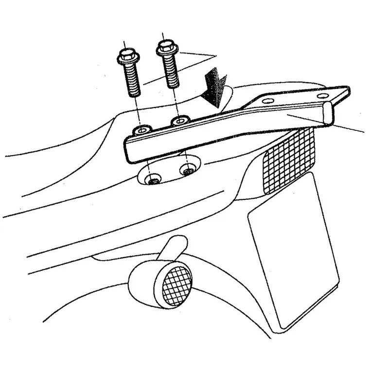 SHAD Gepäckträger Y0F68T Neue Kollektion