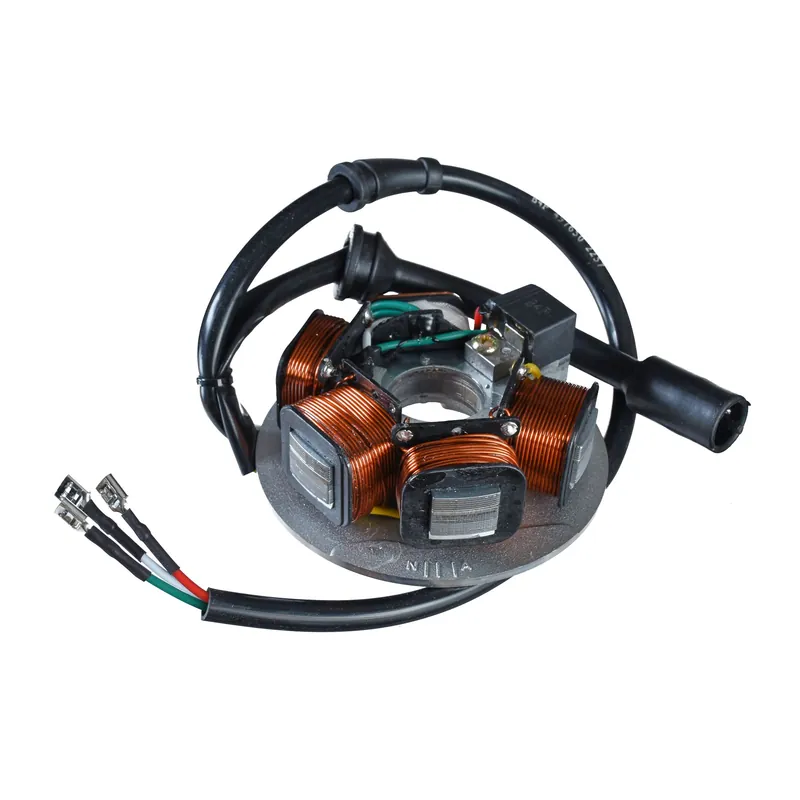 Preis Gesenkt Piaggio Zündankerplatte 497650