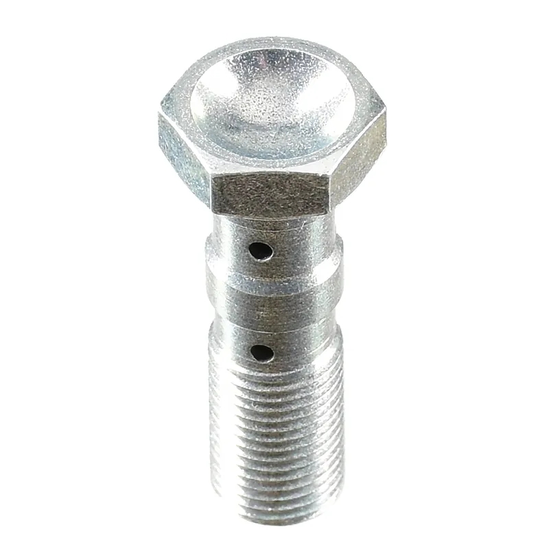 Sonderaktion TRW Hohlschraube Edelstahl M10x1,00 MCH971C