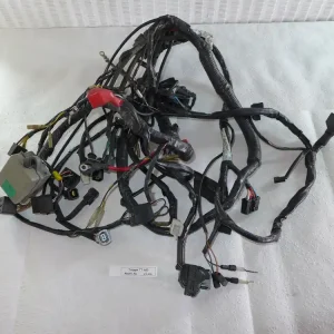 Heißes Angebot Triumph TT 600 806 AD Kabelbaum