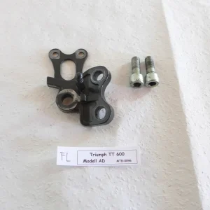 Triumph TT 600 806 AD Seitenständeraufnahme Sichere Zahlung