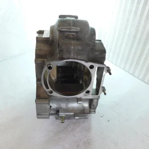 Expressversand Suzuki XF 650 Freewind Motorgehäuse