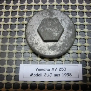 Schneller Versand Yamaha XV 250 2UJ Motor Deckel Zylinderkopf