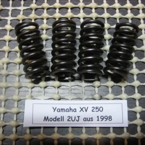 Top-Angebot Yamaha XV 250 2UJ Motor Kupplungsfedern