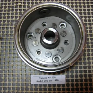 Sonderaktion Yamaha XV 250 2UJ Motor Polrad