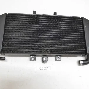 Aktuell Yamaha FZS600 Fazer RJ02 Kühler mit Verkleidung Schutz