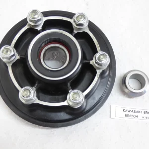 Kawasaki ER6 N ER650A Kettenradträger Schneller Versand