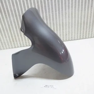 Finale Aktion BMW K 1200RS TYP589 Fender vorne