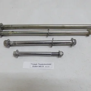 Angebot Triumph Thunderbird 1600 1700 B16BA Motorachsen