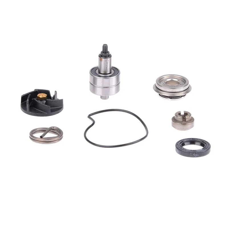 ScooterLibre Wasserpumpenreparatursatz 250-300ccm 4-Takt 100110210 Schneller Versand