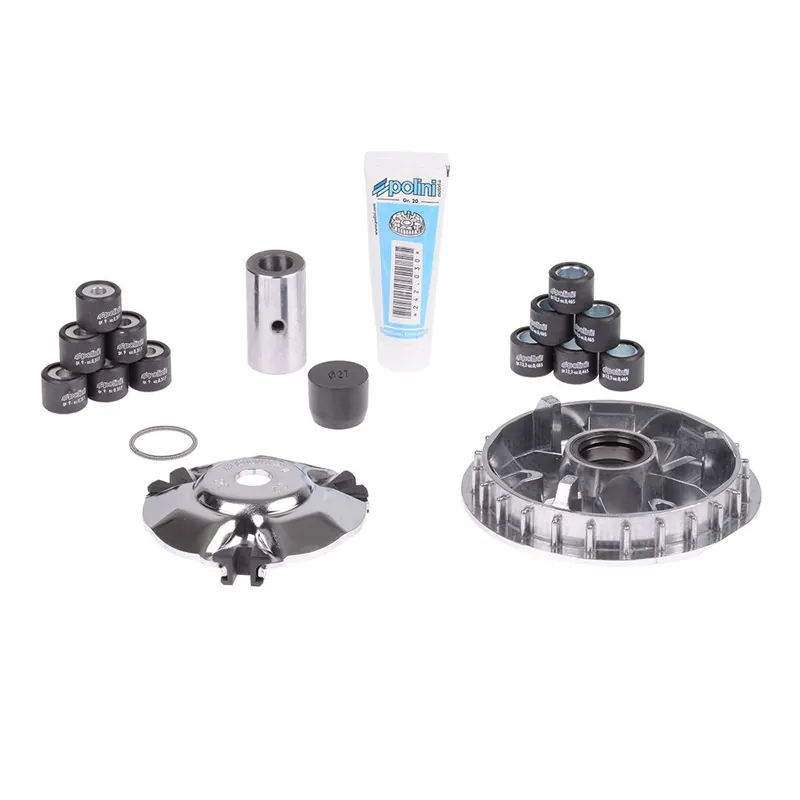 Polini Variomatik 241.619 Echt