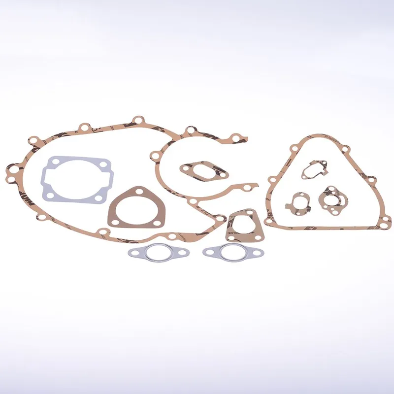 ScooterLibre Motordichtsatz mit 2- und 3-Loch Ansaugdichtung 100684050 Kostenfreie Lieferung