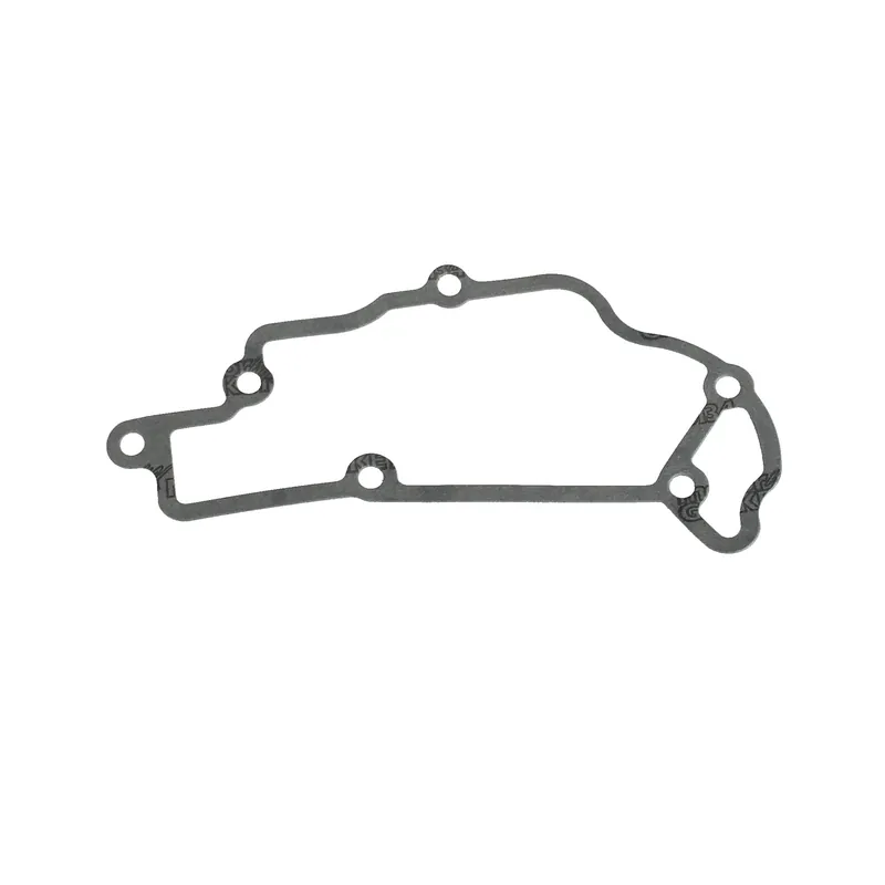 Piaggio Ölwannendichtung 969132 Finale Aktion