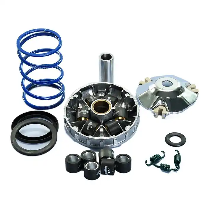 Kostenfreie Lieferung Polini Variomatik 241.737