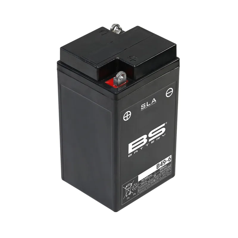 BS Batterie 6V 10,5AH B49-6 GEL -Battery 807940 Preiswert